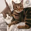 George & Millie - @george_x_millie - TikTok