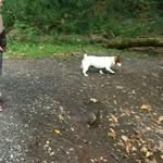 millie gorman - @jst_millie - Instagram