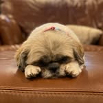 Millie Ann Gutierrez - @millie.rock813 - Instagram