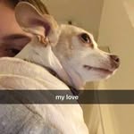 @millie_healy_ - Instagram