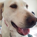 Millie Higgins - @turtlinmillie - Instagram