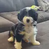 Millie Jane - @lilmilmil - TikTok