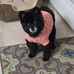 Millie Eck Jefferies - Facebook