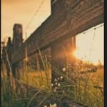 Milly Jefferson - @country_forever1367 - Instagram