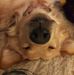 Millie Jewell - Facebook