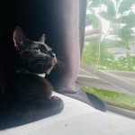 Milly Jimenez - @milly.jimenez.14606 - Instagram