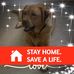 Millie Johnson - Facebook