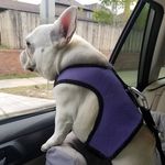 Millie Johnston - @missmilliemarshmallow - Instagram
