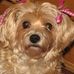 Millie Joyner - Facebook