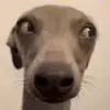millie'ᥫ᭡ - @millie.juarez - TikTok