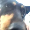 who_ismilliejudd - @who_ismilliejudd - TikTok