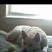 Millie Kaiser - Facebook