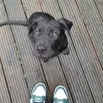 Millie Keen - Facebook
