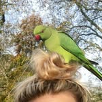 Millie Kelly - @millie_kelly - Instagram