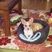 Millie Kelly - Facebook