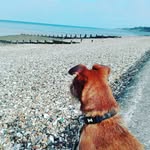Millie Kemp - @milliekemp463 - Instagram