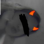 Millie Kennedy - @pr5_.millie - Instagram
