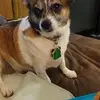 milliekennedy8 - @milliekennedy8 - TikTok
