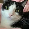 milliekenyon496 - @milliekenyon496 - TikTok