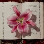 Kim Millie - Facebook