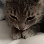Molly Way-Kincaid - Facebook