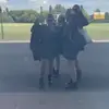 millie kinny - @milliekinnyxx - TikTok