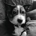 Millie Kirby - @macushla2025 - Instagram