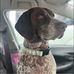 Millie Kirkland - Facebook