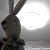 koch._.millie - @koch._.millie - TikTok