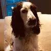 Millie! - @millie.kreger - TikTok