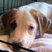 Millie Kurtz - Facebook