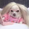 millie_laird - @millielaird16 - TikTok