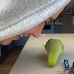 Millicent - @millielamshed - Instagram