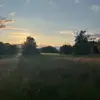 Millie 𐙚 - @millielams - TikTok