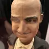 Millie Lammoreaux - @millie.lammoreaux - TikTok