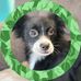 Millie-Hector Lambert - Facebook