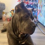 Millie Lambert - @romasadventures2023 - Instagram