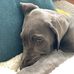 Millie Lambert - Facebook