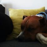 millie rose lambert - @lambertmillierose - Instagram