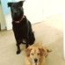 Millie Land - Facebook
