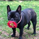 Millie Lang - @milliemcgillicutty - Instagram