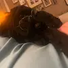 millie.spam - @millielang3 - TikTok