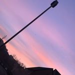 Millielangford - @millielangford16 - Instagram