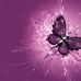 Millie Langley - Facebook