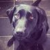 Millie Langley - Facebook