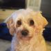 Millie Langley - Facebook
