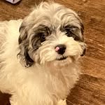 Hazel Millie Larson - @hazelmillielarson - Instagram