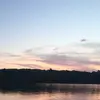 millielarson - @millie_larson - TikTok