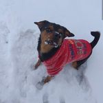 Millie Lawson - @miss_keisha_rip - Instagram