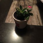 Millie Lawson - @millunl1lawson - Instagram
